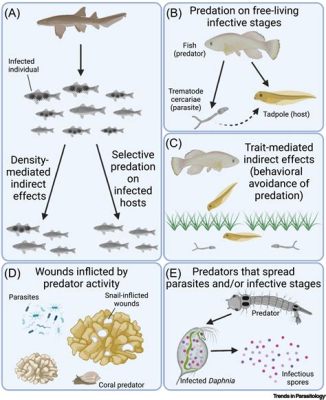  Distomohepaticus! Un parasite fascinant au coeur de l’écosystème aquatique